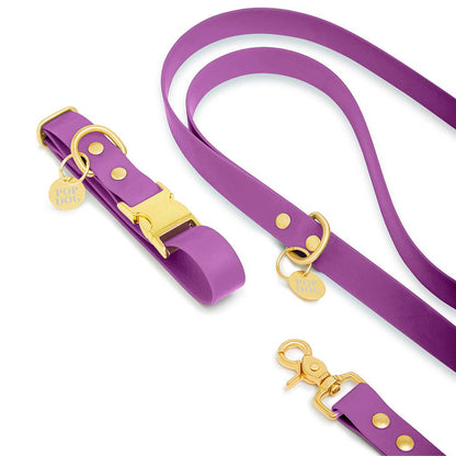 Handgemachtes Hundehalsband PRECIOIUS mit Klickverschluss aus robuster Biothane Lila mit Leine, Detailansicht, erhältlich bei fiffi&muschi - Hundeladen/Concept Store Köln