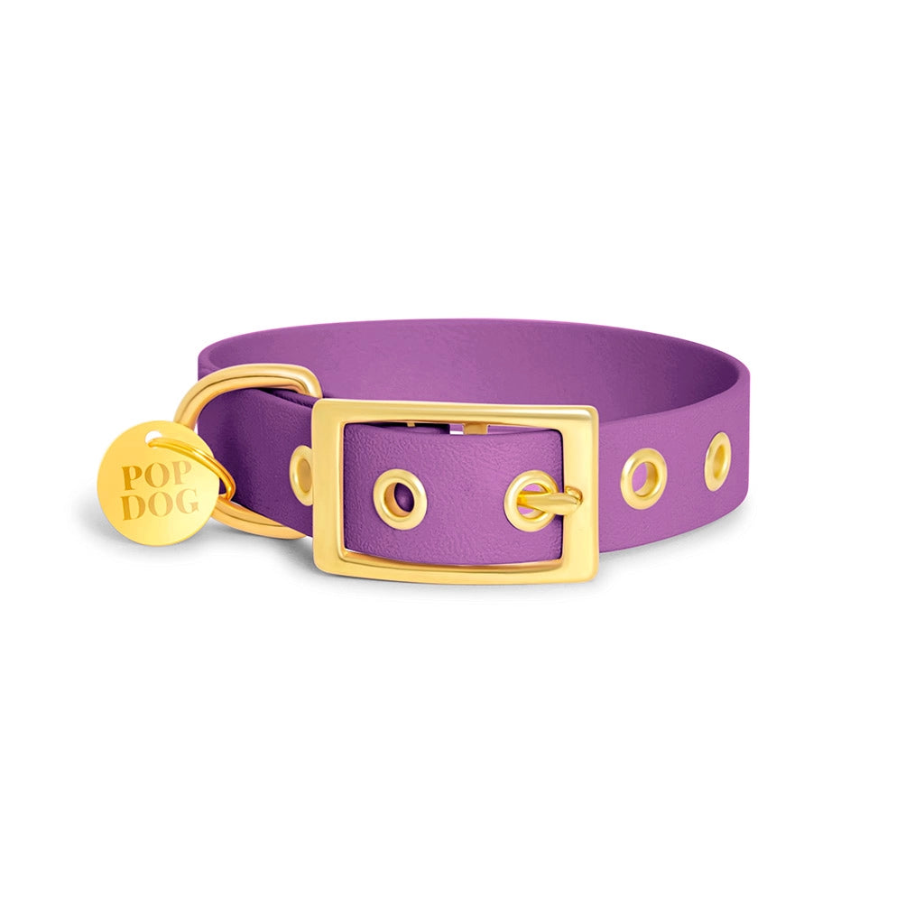 Handgemachtes Hundehalsband PRECIOUS aus robuster Biothane Lila, Ansicht Verschluss aus Messing, erhältlich bei fiffi&muschi - Hundeladen/Concept Store Köln