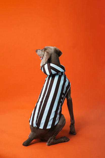 Hunderegenmantel Stripes