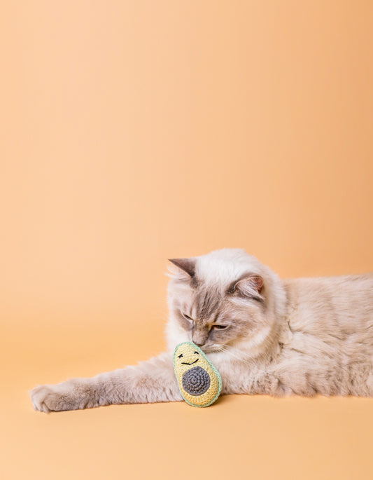 Gehäkelte Avocado MR AVOCADO mit Katzenminze