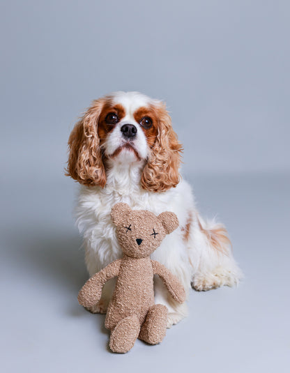 Hundespielzeug Teddybär BERTY