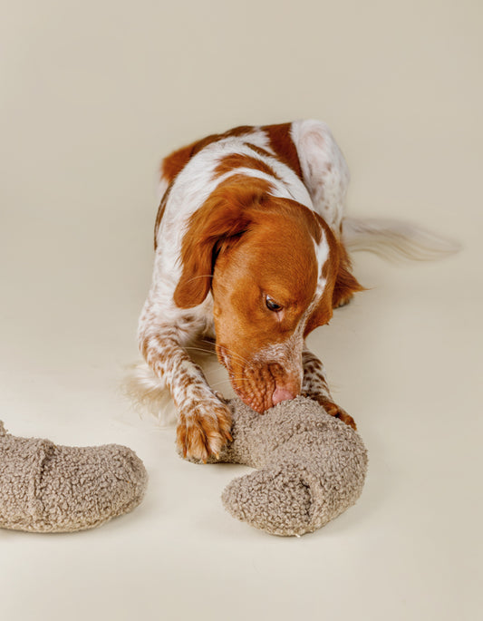 Schnüffel-/Aktivierungsspielzeug für Hunde CROISSANT