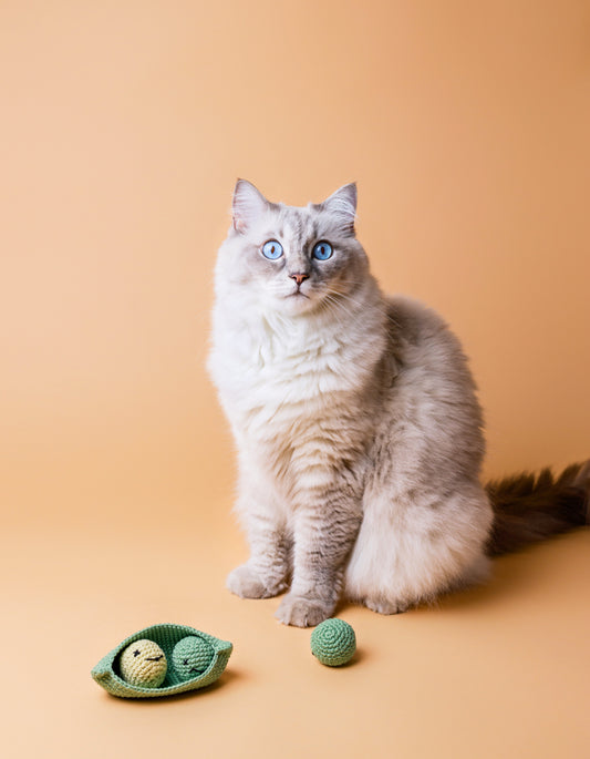 Mini-Katzenball-Set MR PEAS