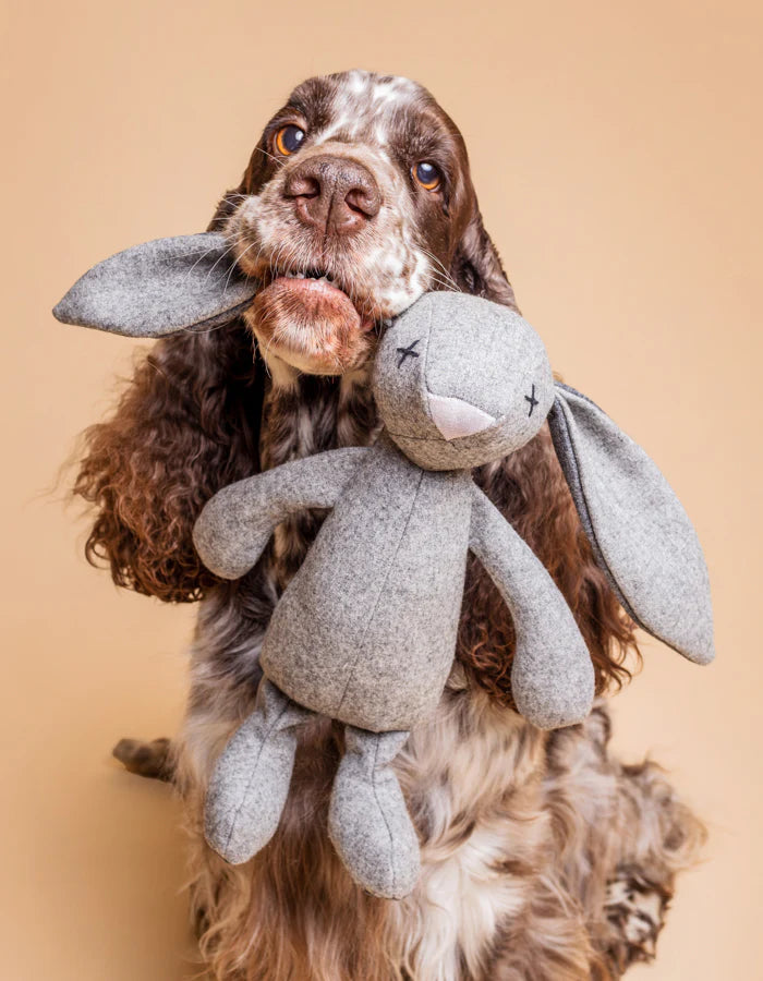 Hundespielzeug Hase RUPERT