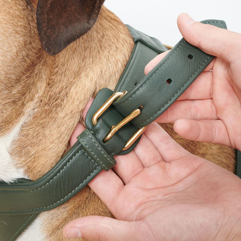 Leder-Hundegeschirr Dark Moss