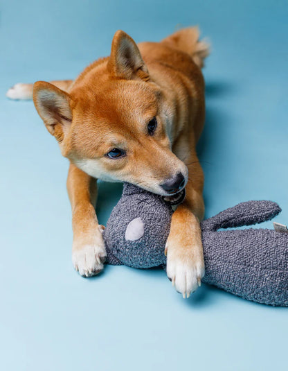 Hundespielzeug Katze OTTO