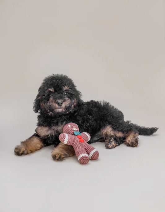 Lebkuchenmann Häkelkeks