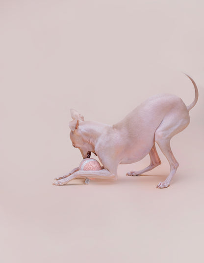 Hundeball RAINBOW