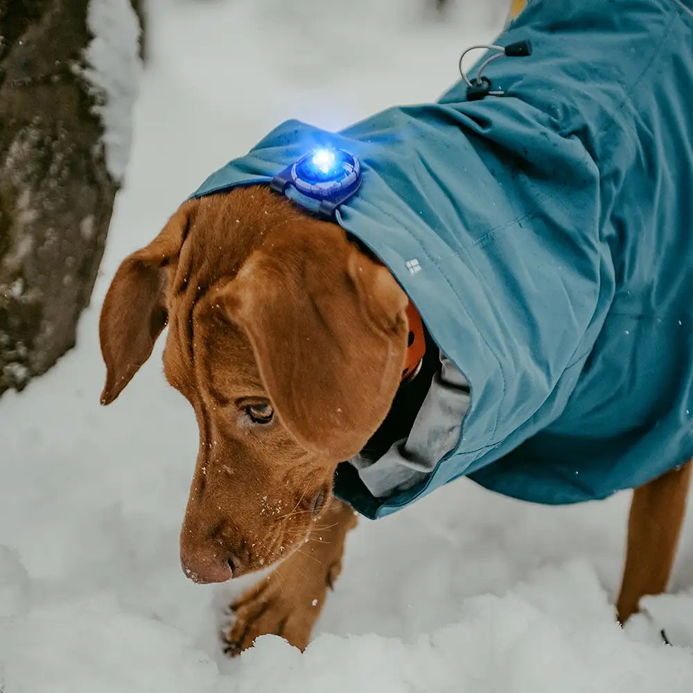 Orbiloc Clip – Befestigung für Safety Light