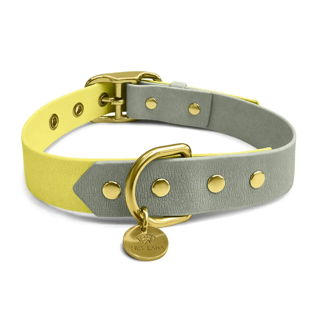 Handgemachtes Hundehalsband Outdoor – FLEX Lemon/Seagrass