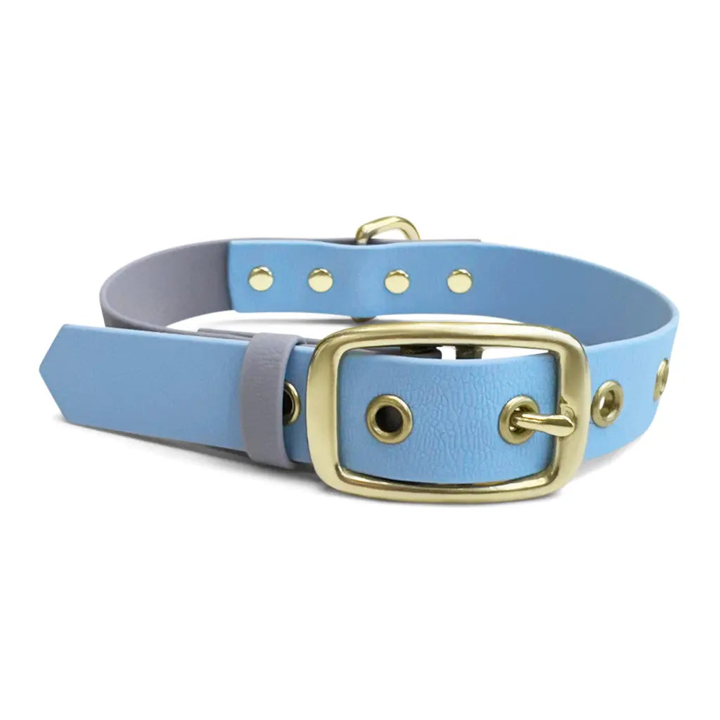 Handgemachtes Hundehalsband Outdoor – FLEX Taupe/Blau