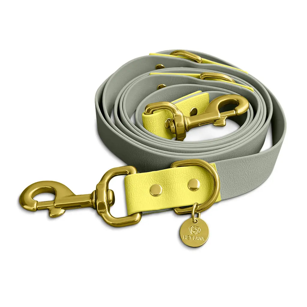 Hundeleine Outdoor FLEX | 3-fach verstellbar | Lemon/Seagrass
