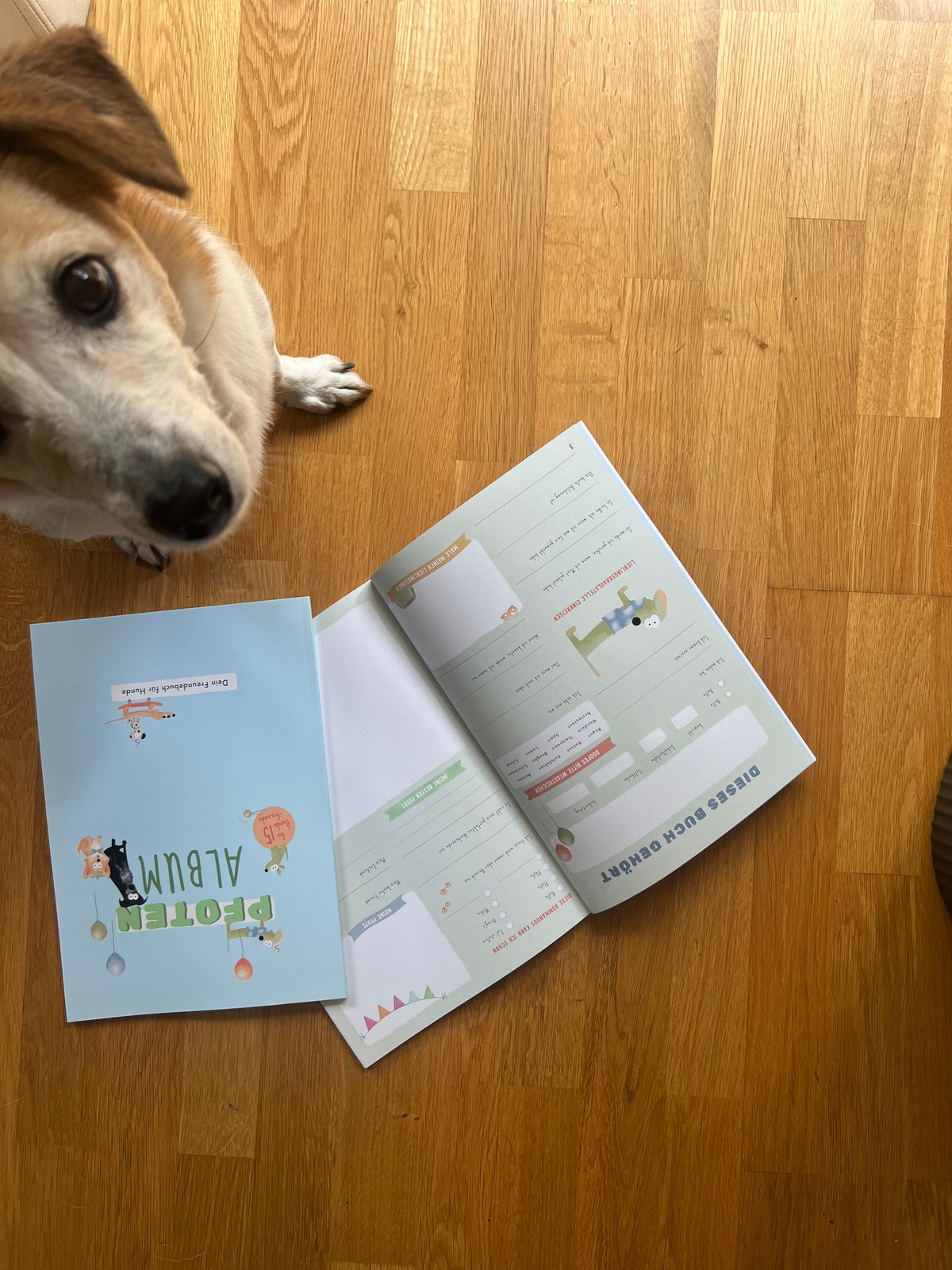 Pfotenalbum | Das Freundebuch für Hunde