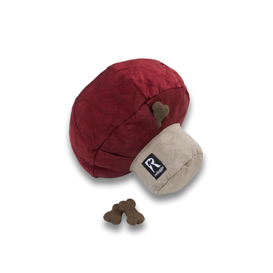 Pilz
