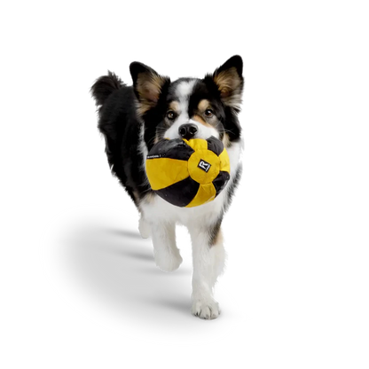 Ball