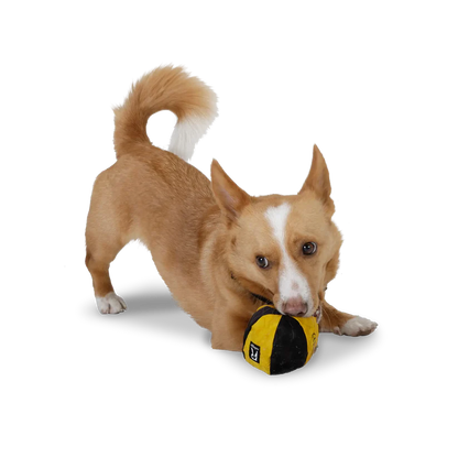 Ball