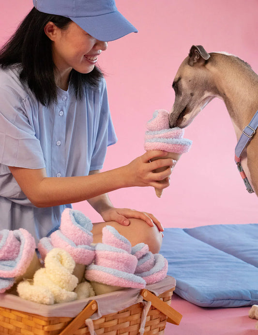 Hundespielzeug Ice Cream