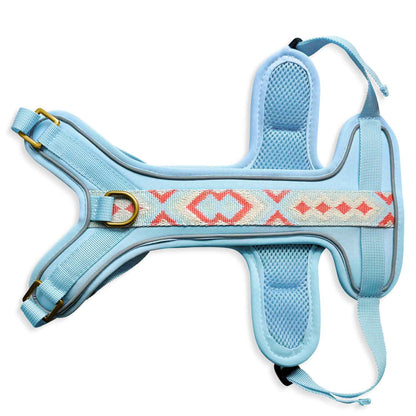 Premium Hundegeschirr Gepolstert Coral/Blau