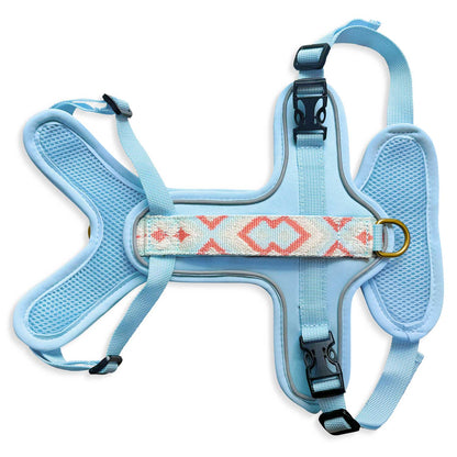 Premium Hundegeschirr Gepolstert Coral/Blau