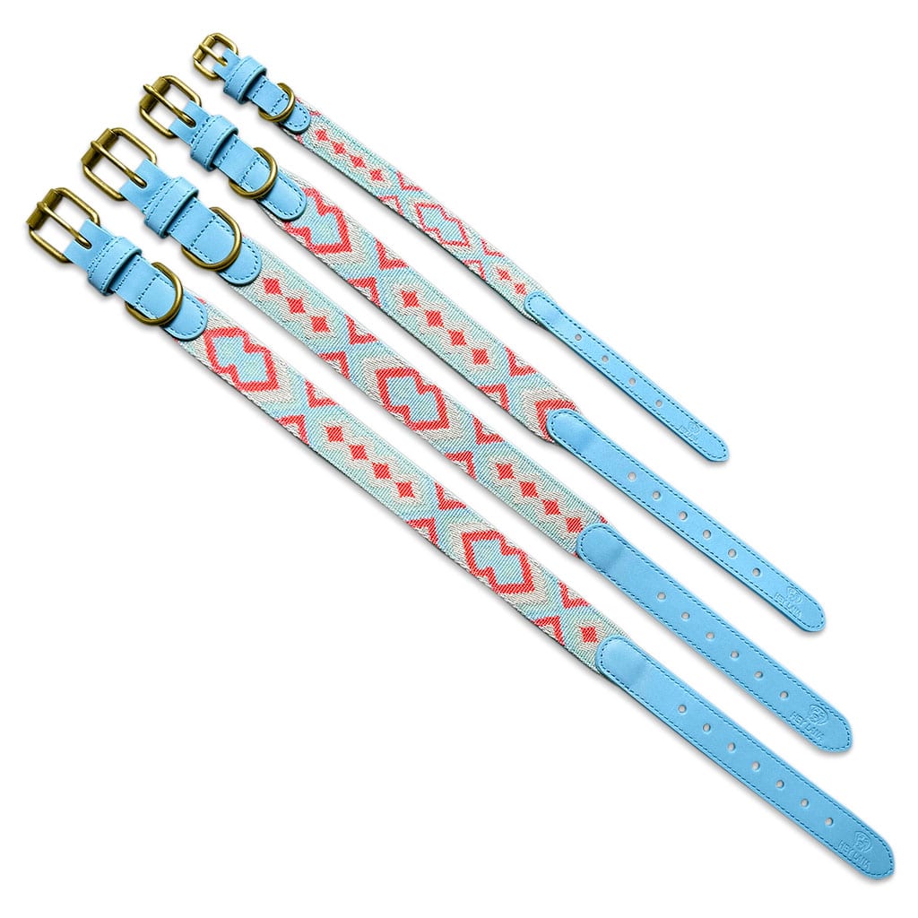 Premium Hundehalsband Gepolstert | Coral/Blau