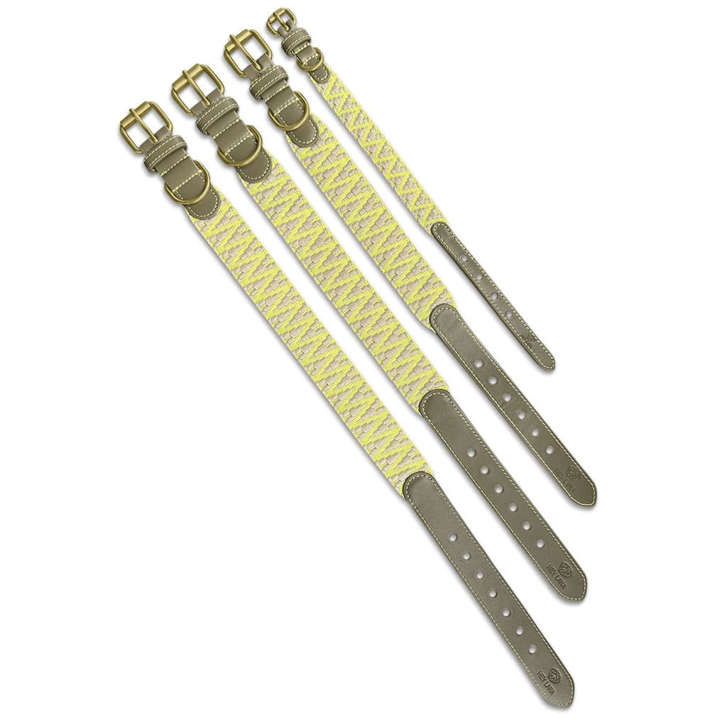 Premium Hundehalsband Gepolstert | Olivgrün/Neongelb