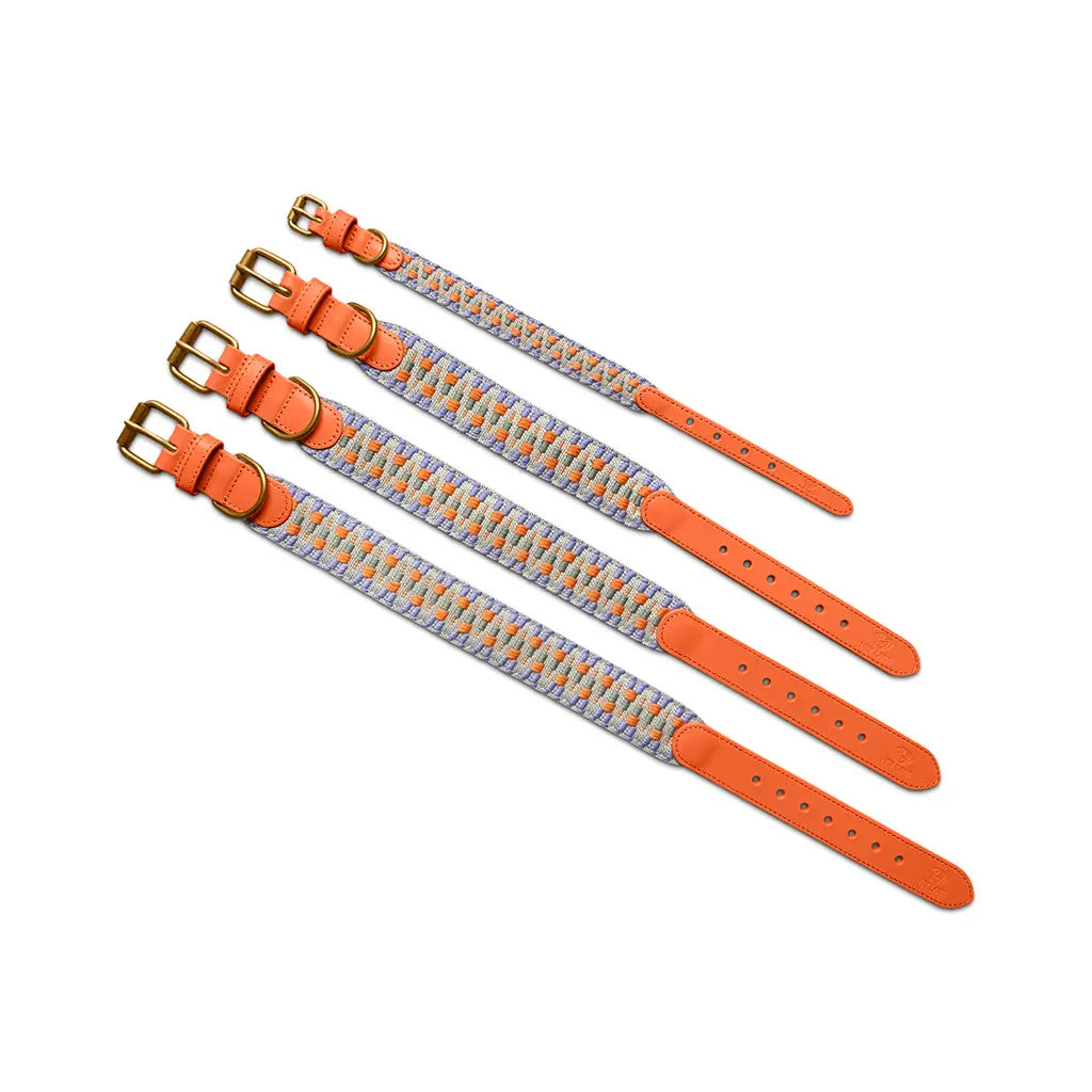 Handgemachtes Hundehalsband Gepolstert – Sunset/Eukalyptus