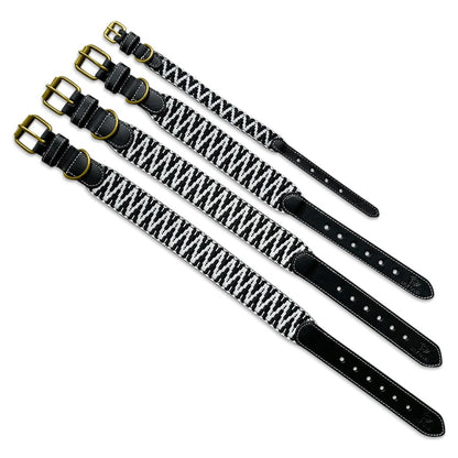 Premium Hundehalsband Gepolstert | Schwarz/Weiß