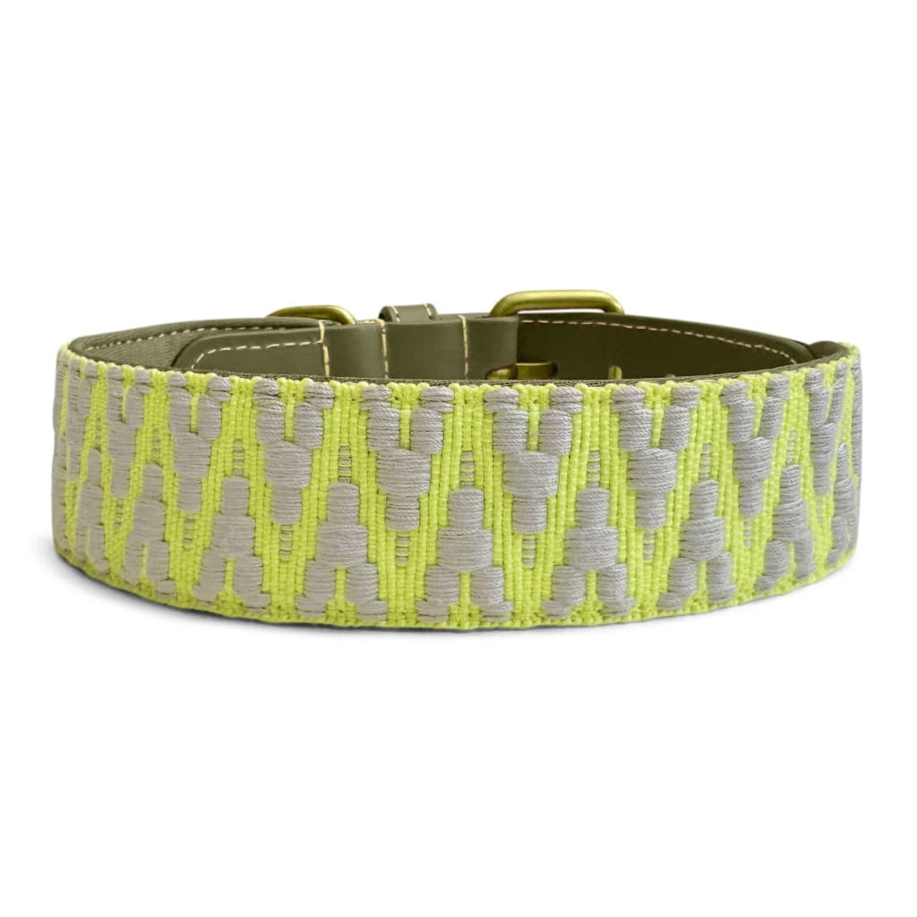 Premium Hundehalsband Gepolstert | Olivgrün/Neongelb