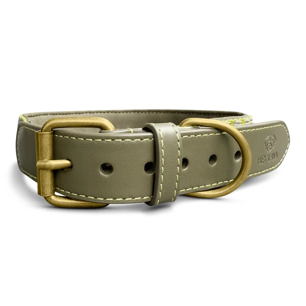 Premium Hundehalsband Gepolstert | Olivgrün/Neongelb