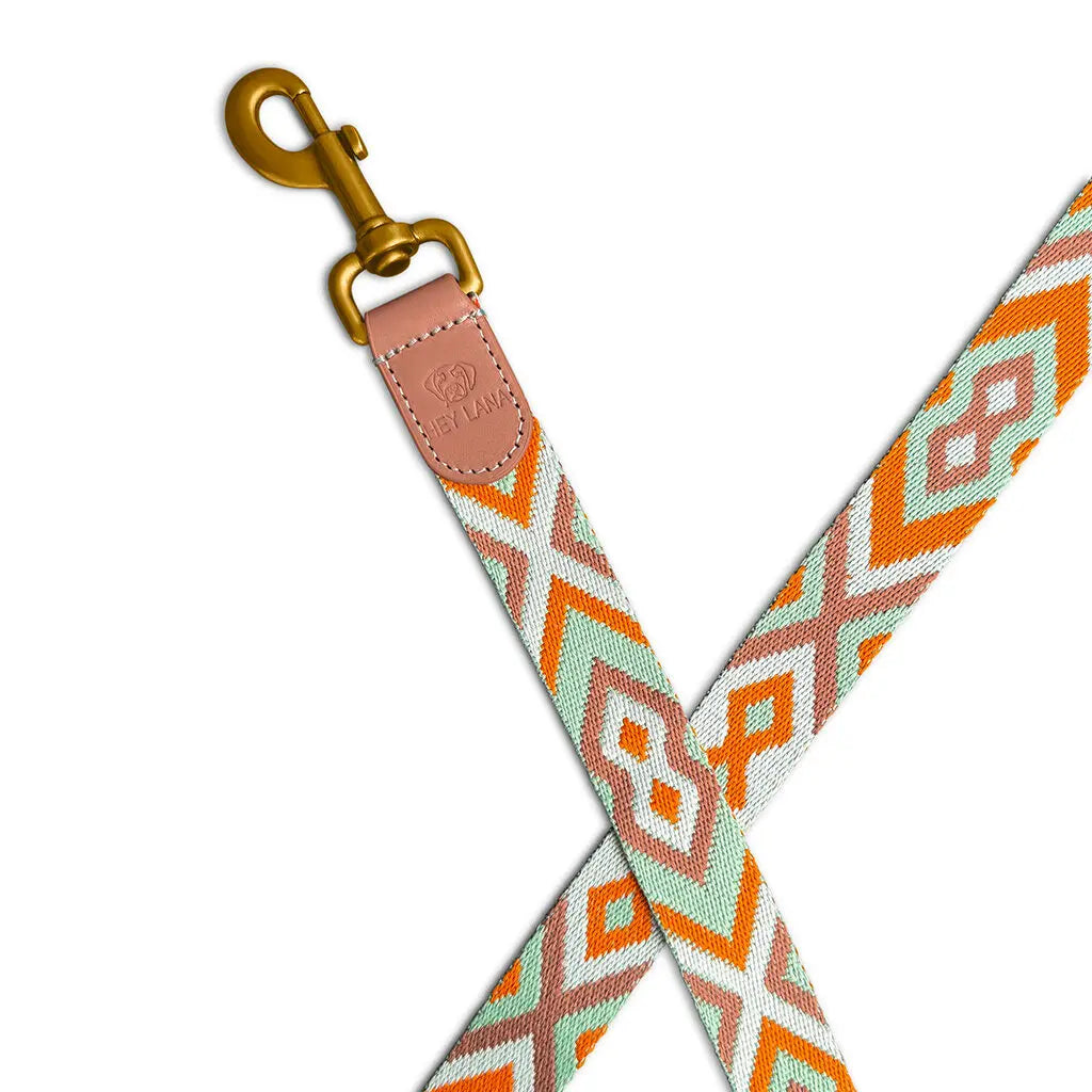 Hundeleine Premium 3fach verstellbar Mint/Orange