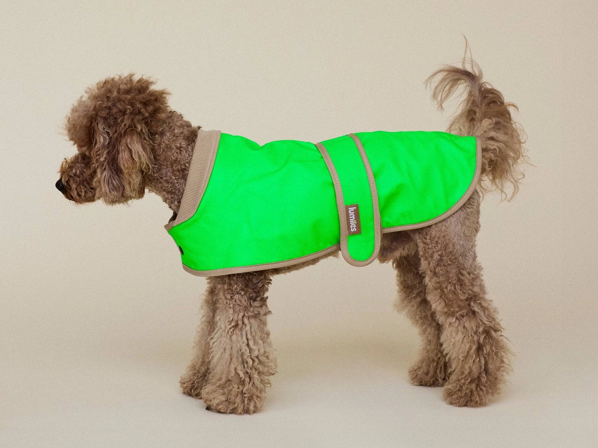 The Glow Raincoat Mini-Fit |  Neon Green Gecko