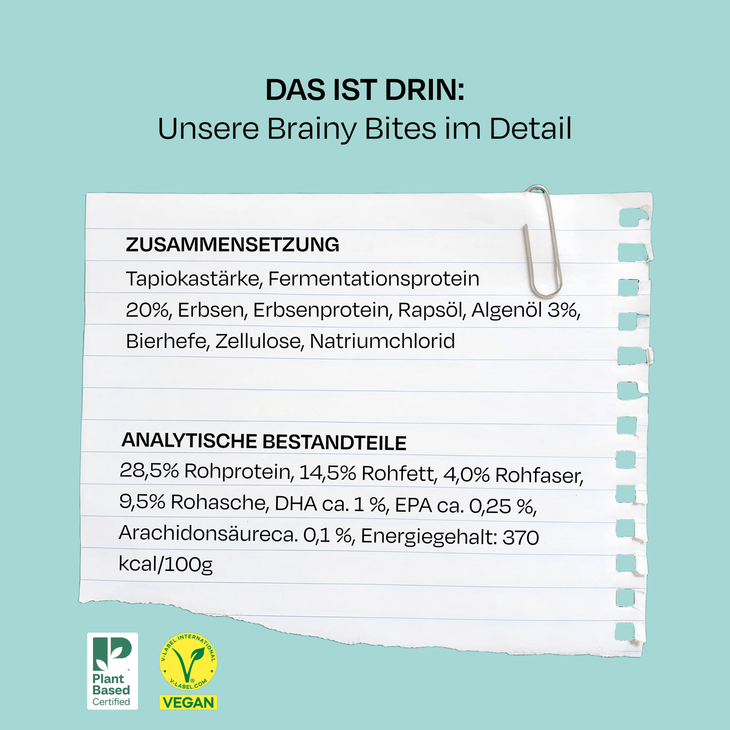 BRAINY BITES