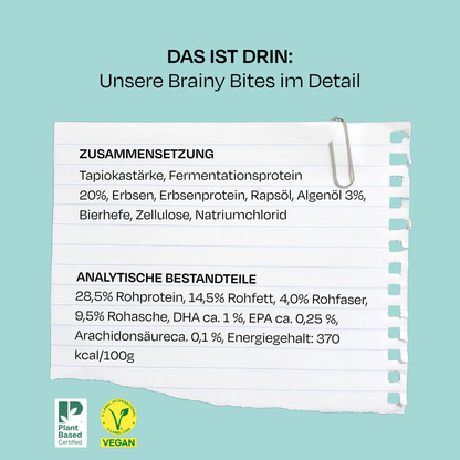 BRAINY BITES