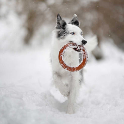 Hundespielzeug Rub Bite