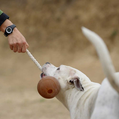 Hundespielzeug Rub Ball Rope