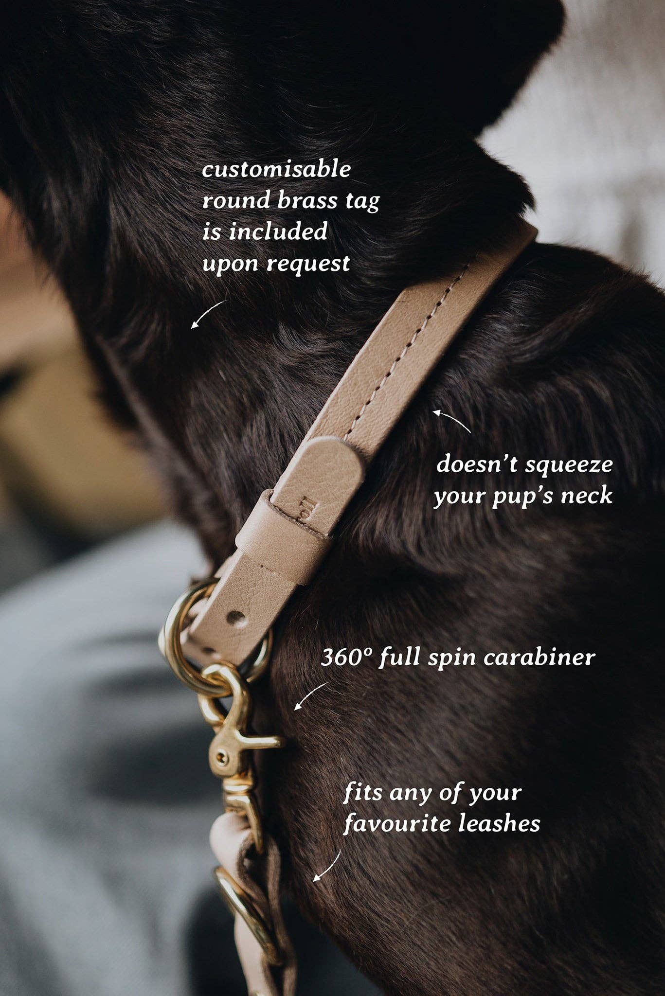 Hundehalsband FIR AIR Gelb