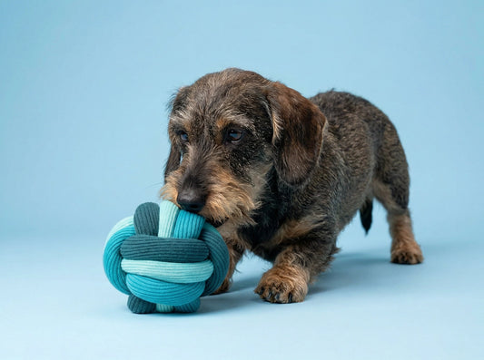 THE TWISTY BALL Ocean Twist | Large