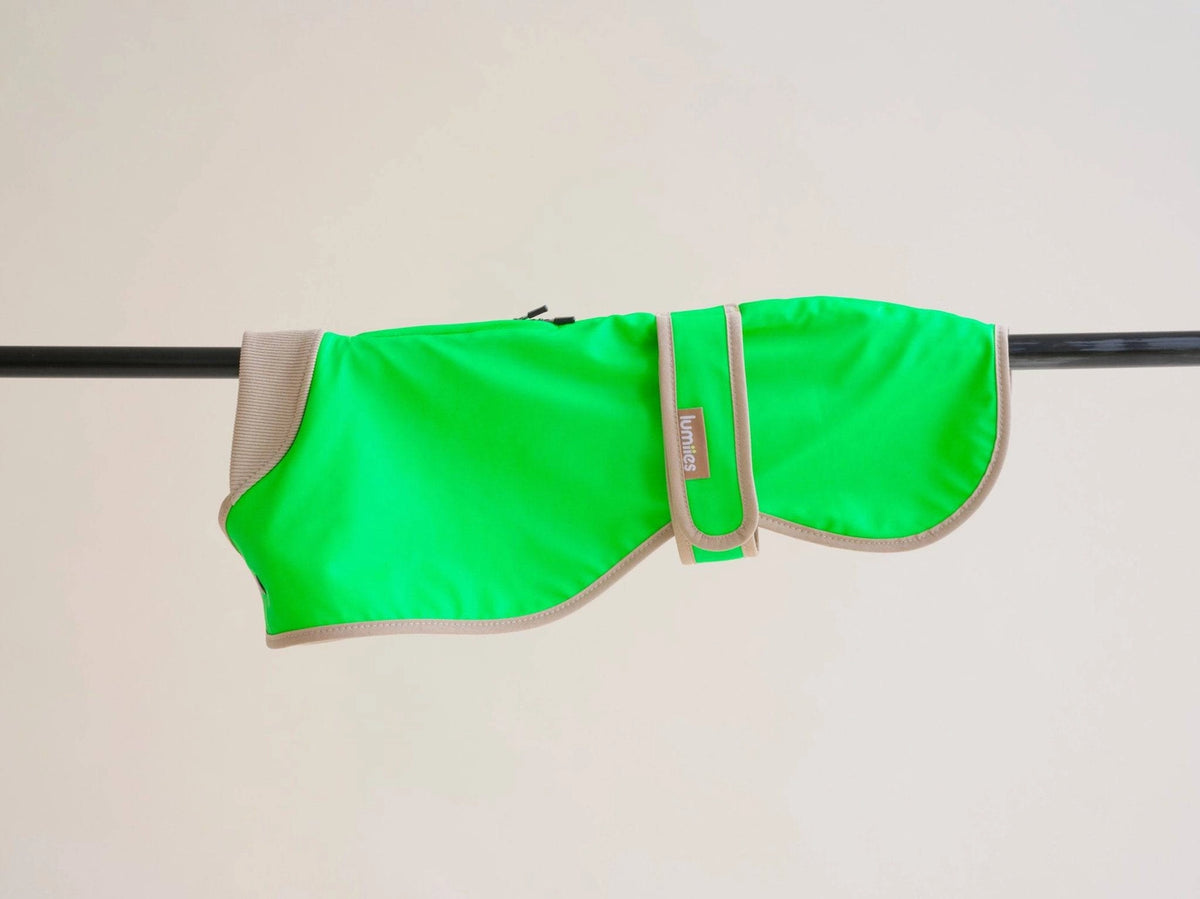 The Glow Raincoat Regular-Fit | Neon Green Gecko