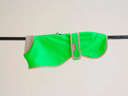 The Glow Raincoat Regular-Fit | Neon Green Gecko