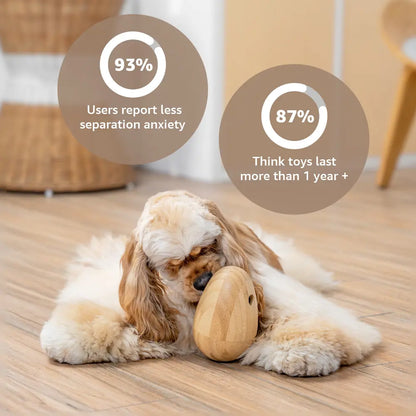 Hundespielzeug Wobble Egg