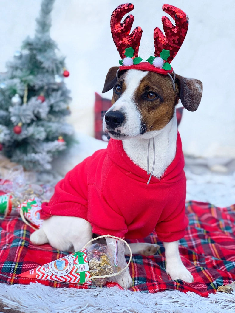 Weihnachtskugeln Hühnchen & Thunfisch