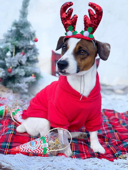 Weihnachtskugeln Hühnchen & Thunfisch
