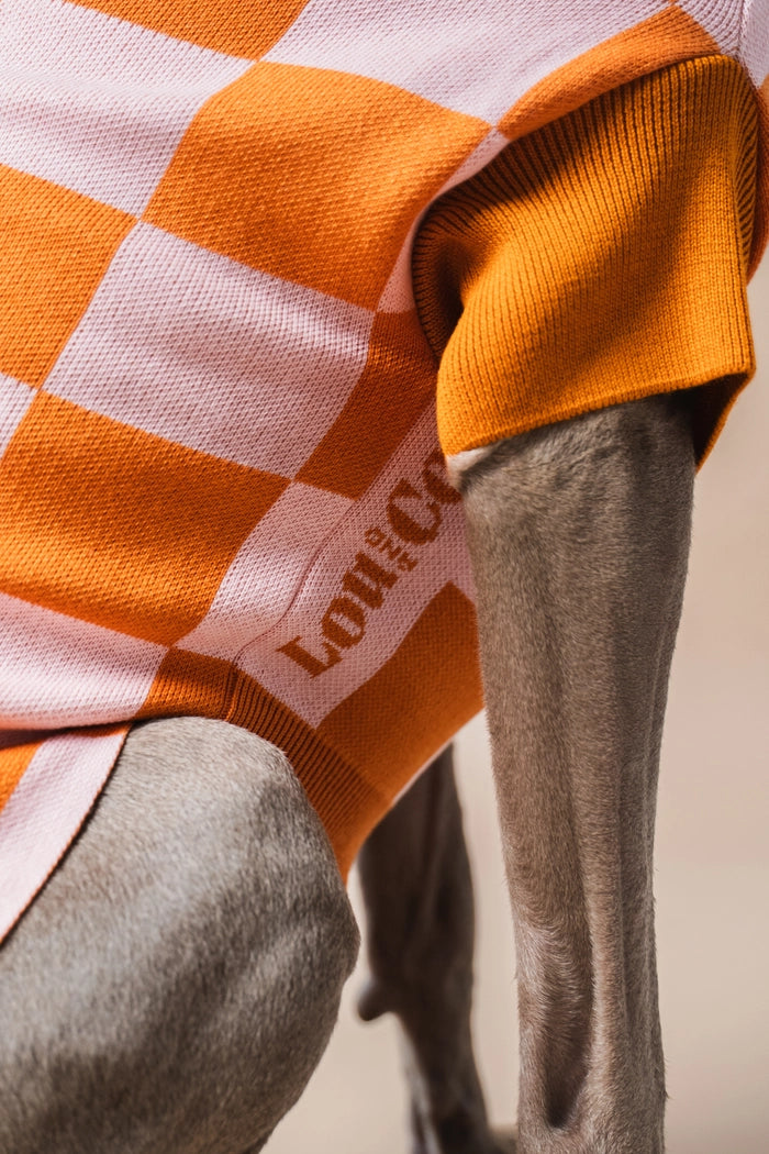 gestrickter Hundepullover mit Karos