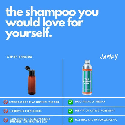 The Number One Shampoo & Conditioner