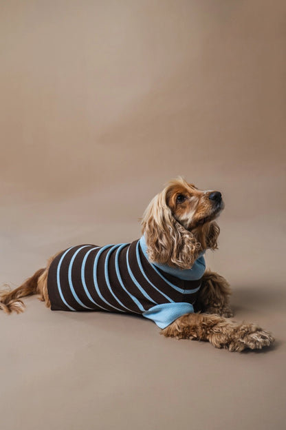 gestrickter Hundepullover mit Streifen