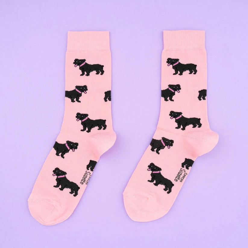 Socken Dog Socks | verschiedene Motive