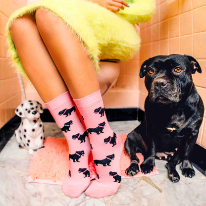 Socken Dog Socks | verschiedene Motive