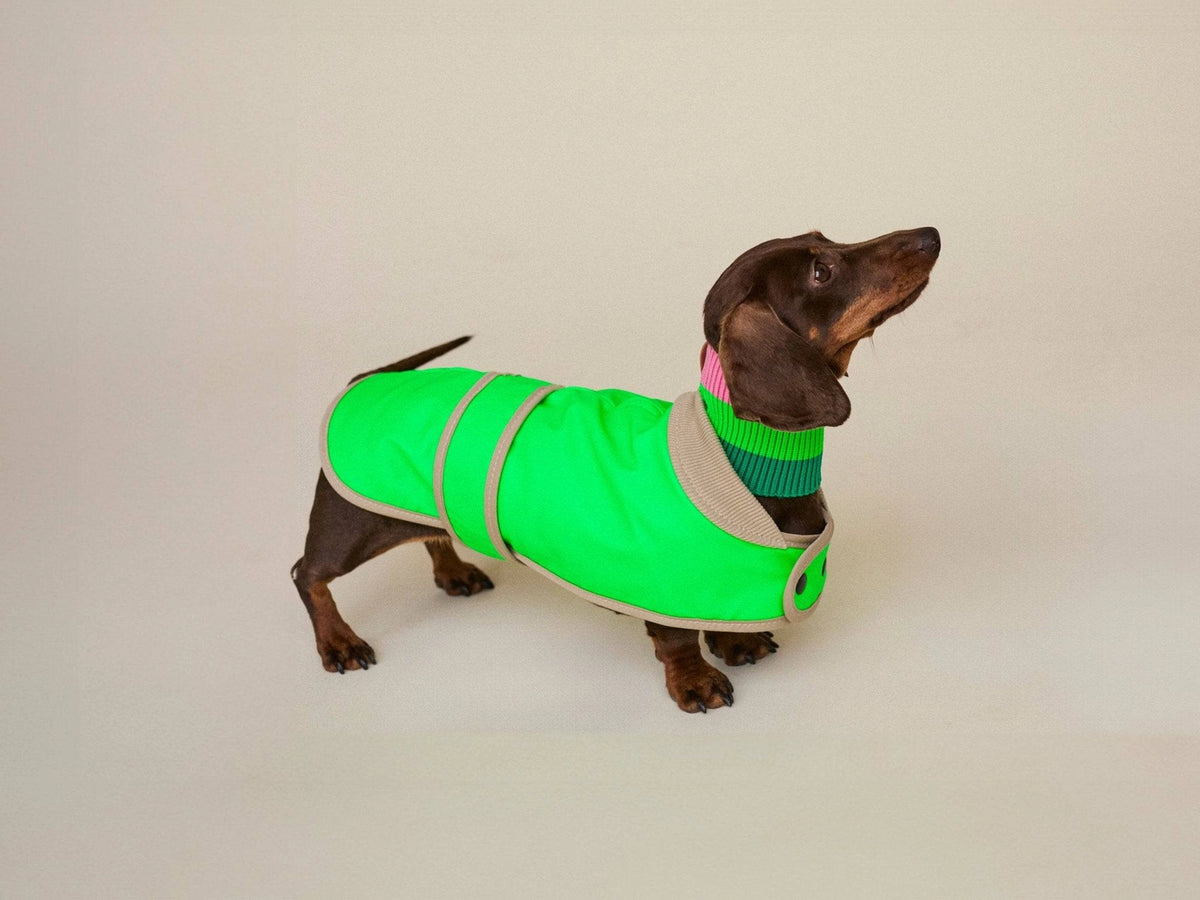 The Glow Raincoat Mini-Fit |  Neon Green Gecko