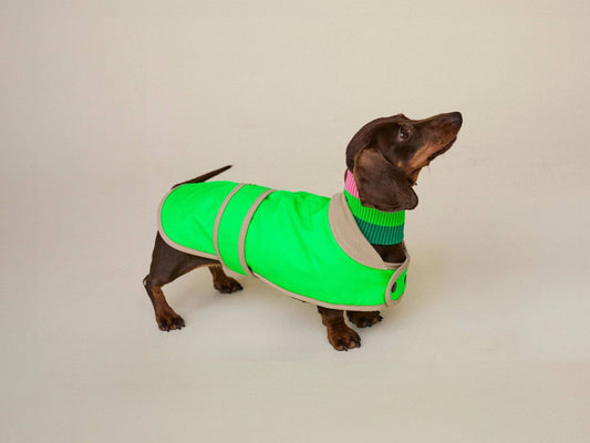 The Glow Raincoat Mini-Fit |  Neon Green Gecko