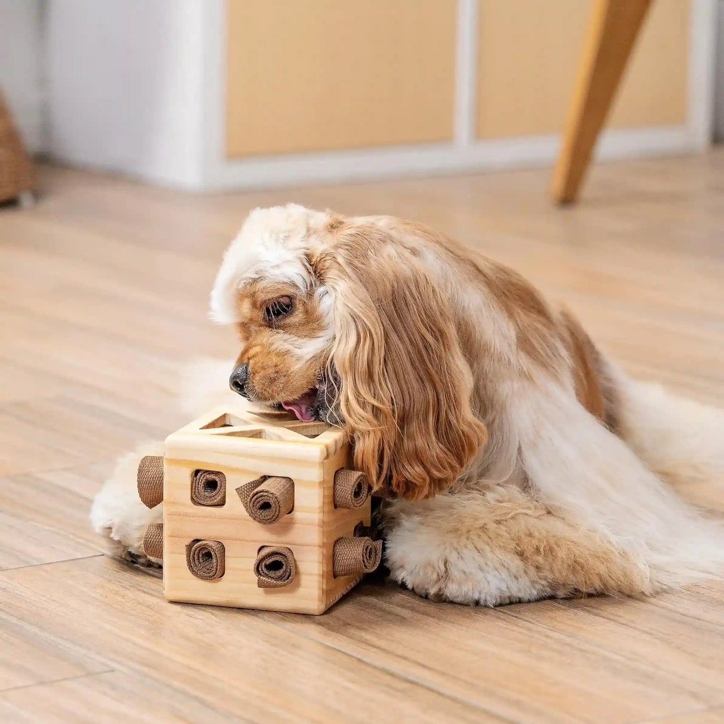 Hundespielzeug Wooden Rubik’s Cube